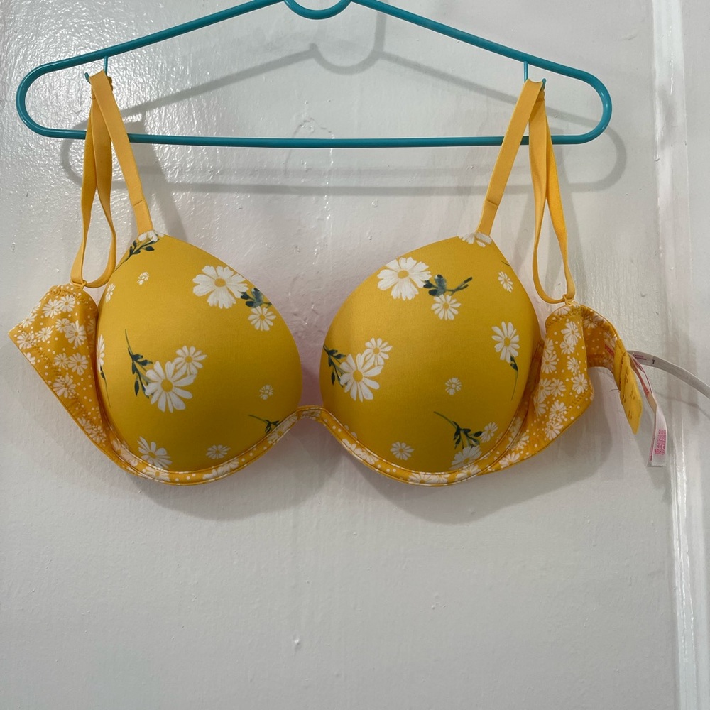 Victoria’s Secret Push Up Bra 32DD